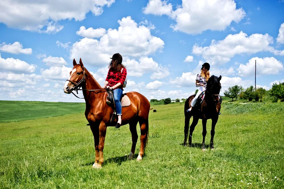 hipoterapia na koniach zielona łąka konie.xmc.pl